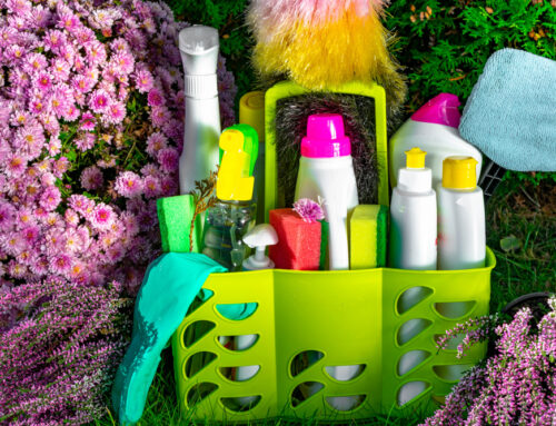 The Benefits of Eco-Friendly Cleaning Products for Your Rochester Residence