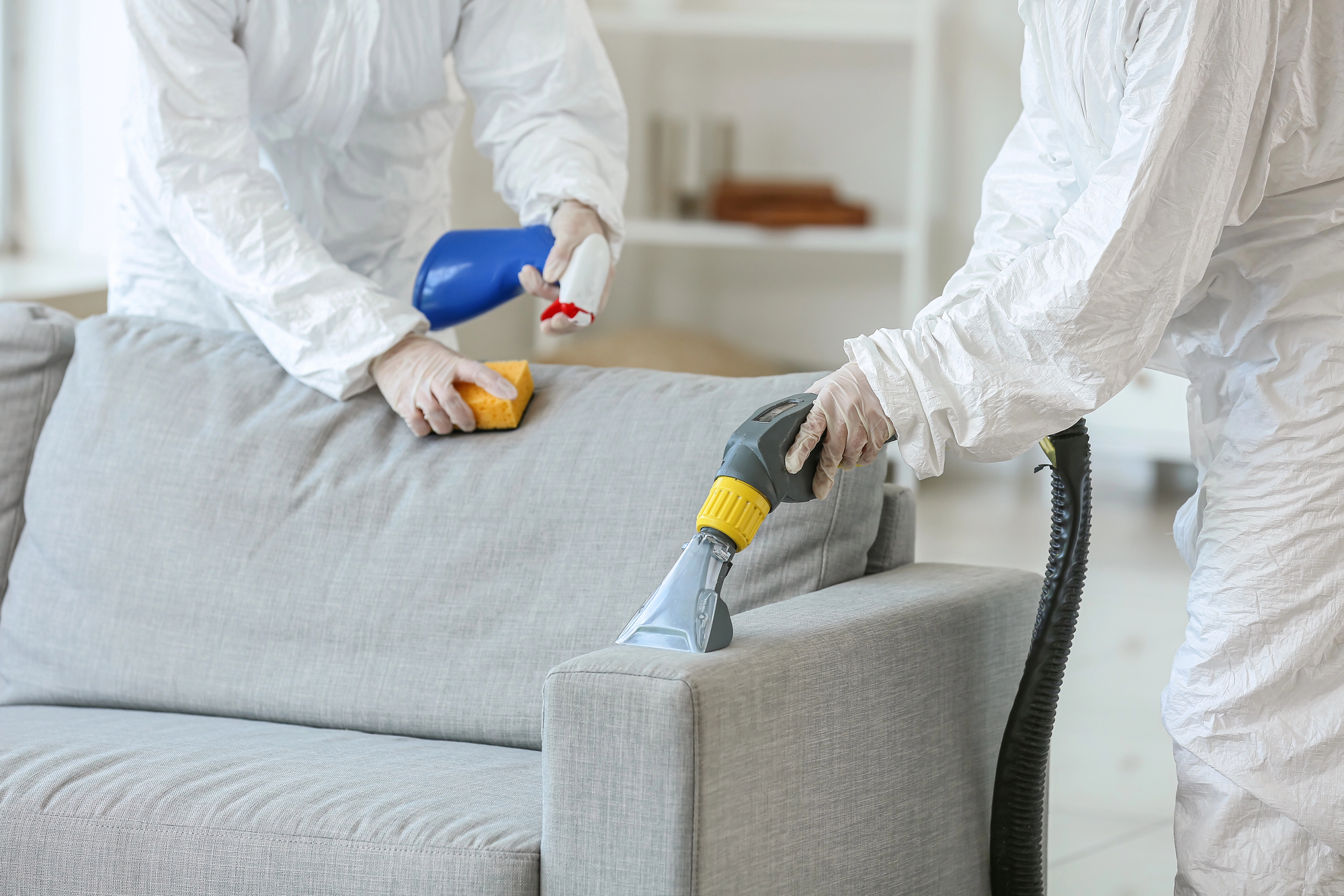 Professional Cleaning Team Pittsford