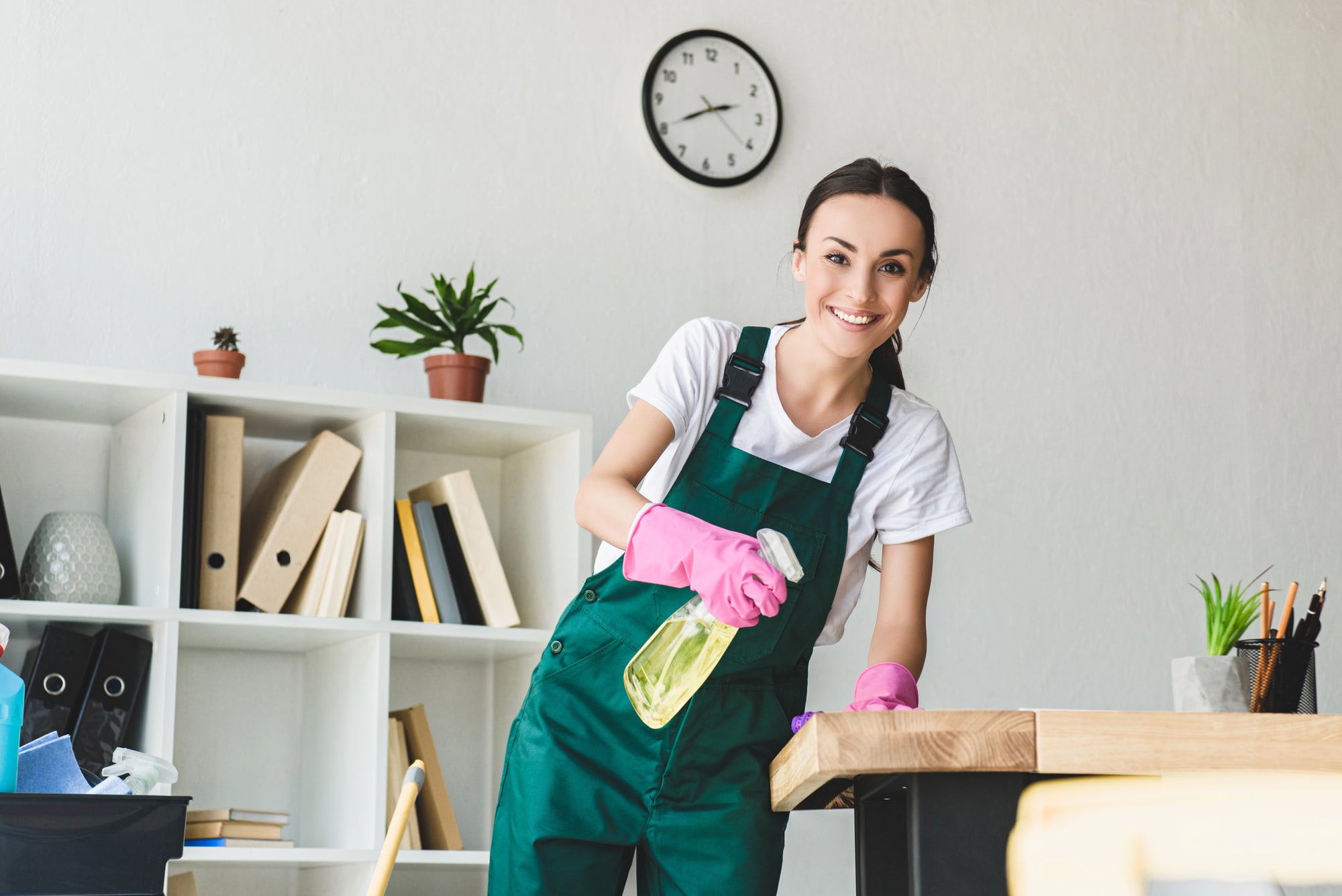 Home Cleaners West Henrietta